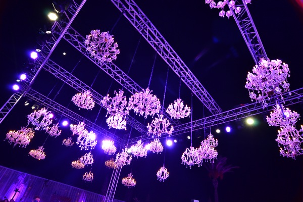 Wedding of Toni Akar